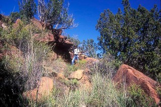 Petroglyphs and Rattlesnakes